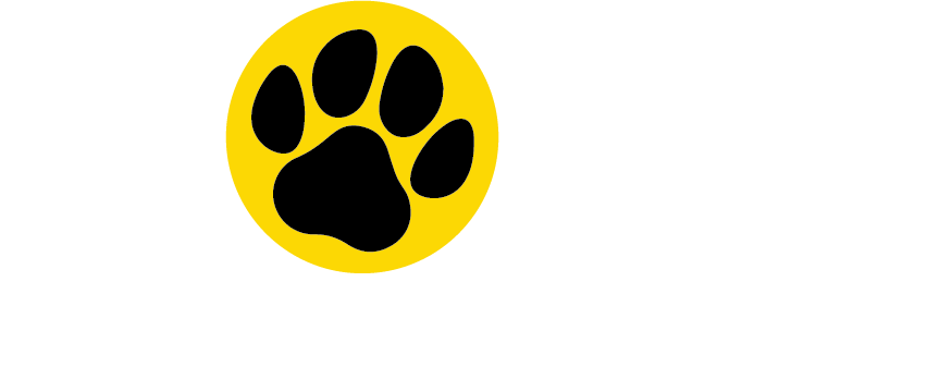 Animals Guide